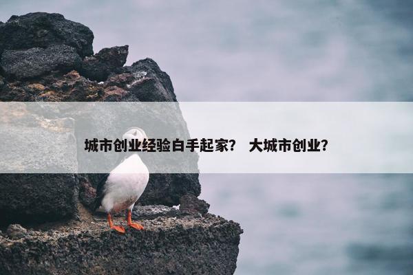 城市创业经验白手起家？ 大城市创业？