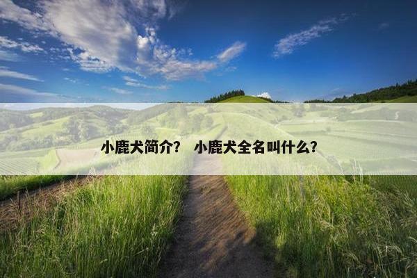 小鹿犬简介？ 小鹿犬全名叫什么？