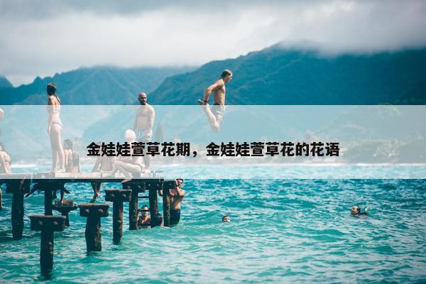 金娃娃萱草花期，金娃娃萱草花的花语