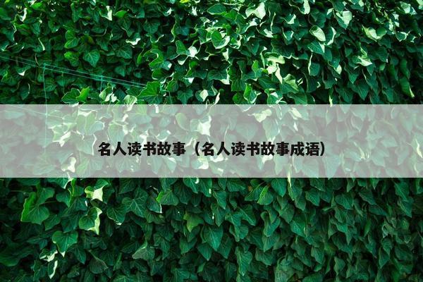 名人读书故事（名人读书故事成语）