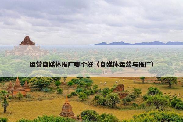 运营自媒体推广哪个好（自媒体运营与推广）