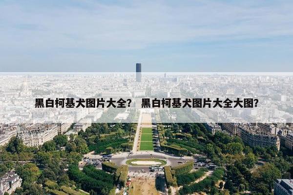 黑白柯基犬图片大全？ 黑白柯基犬图片大全大图？