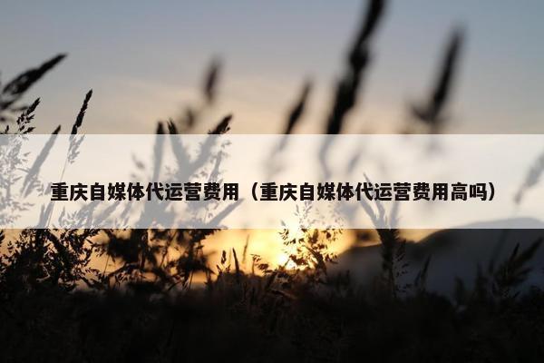 重庆自媒体代运营费用（重庆自媒体代运营费用高吗）