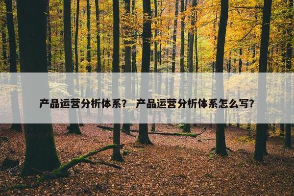 产品运营分析体系？ 产品运营分析体系怎么写？