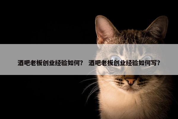 酒吧老板创业经验如何？ 酒吧老板创业经验如何写？