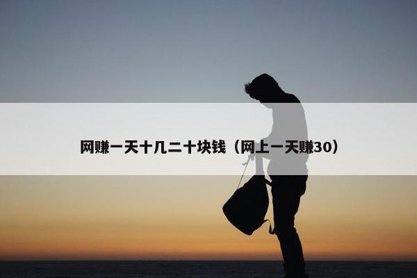 网赚一天十几二十块钱（网上一天赚30）