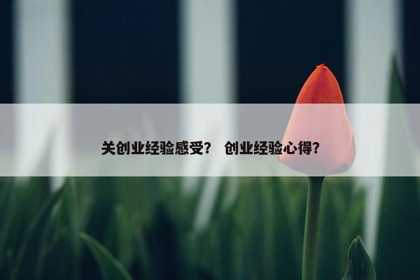 关创业经验感受？ 创业经验心得？