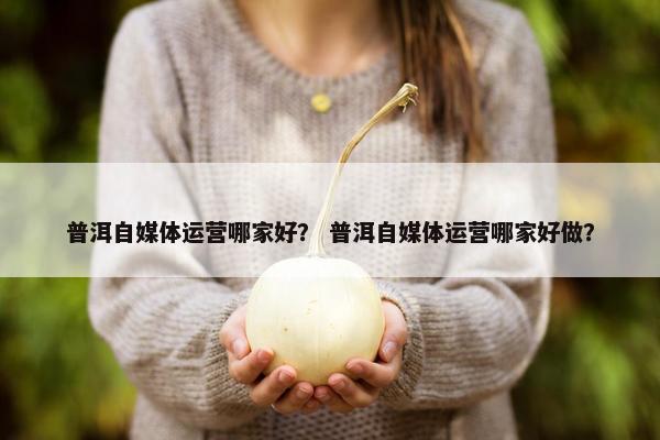 普洱自媒体运营哪家好？ 普洱自媒体运营哪家好做？