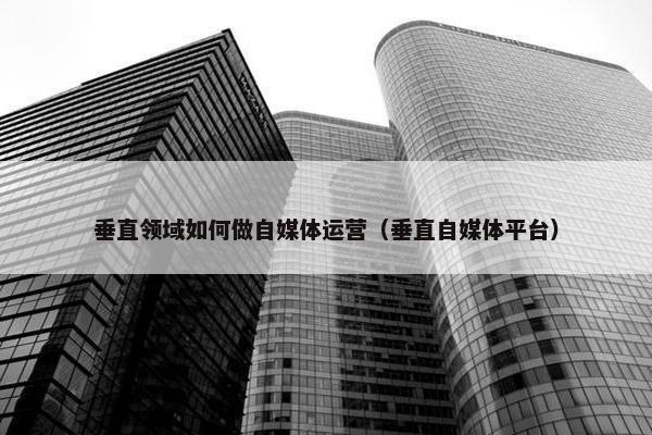 垂直领域如何做自媒体运营（垂直自媒体平台）