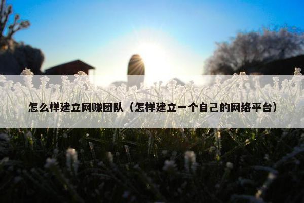 怎么样建立网赚团队（怎样建立一个自己的网络平台）