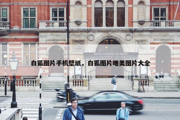 白狐图片手机壁纸，白狐图片唯美图片大全