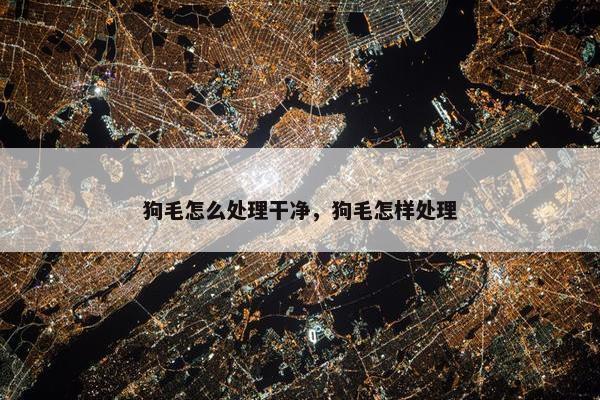 狗毛怎么处理干净，狗毛怎样处理