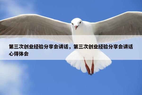 第三次创业经验分享会讲话，第三次创业经验分享会讲话心得体会