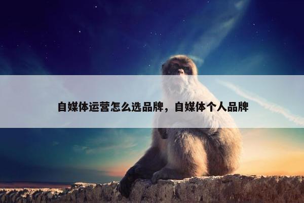 自媒体运营怎么选品牌，自媒体个人品牌