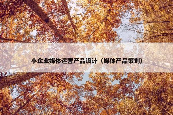小企业媒体运营产品设计（媒体产品策划）