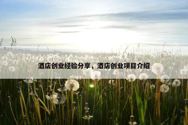 酒店创业经验分享，酒店创业项目介绍