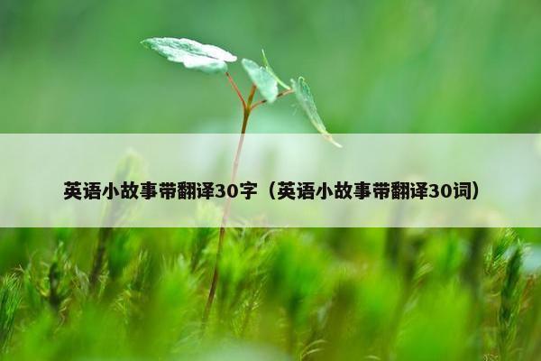 英语小故事带翻译30字（英语小故事带翻译30词）