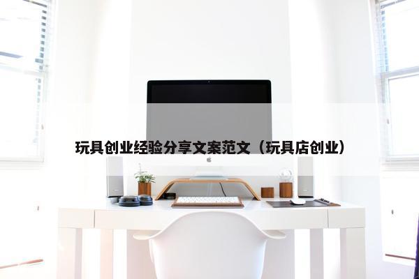 玩具创业经验分享文案范文（玩具店创业）