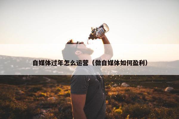 自媒体过年怎么运营（做自媒体如何盈利）