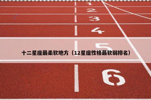 十二星座最柔软地方（12星座性格最软弱排名）