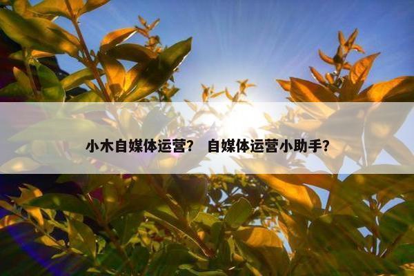 小木自媒体运营？ 自媒体运营小助手？