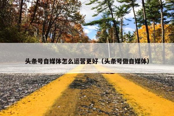 头条号自媒体怎么运营更好（头条号做自媒体）