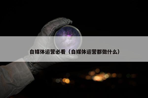 自媒体运营必看（自媒体运营都做什么）