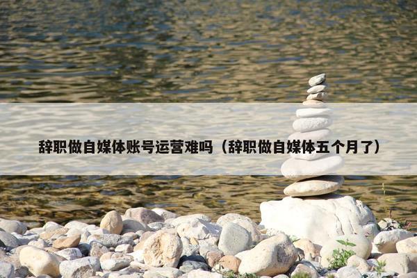 辞职做自媒体账号运营难吗（辞职做自媒体五个月了）