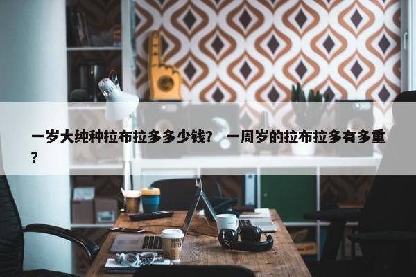一岁大纯种拉布拉多多少钱？ 一周岁的拉布拉多有多重？
