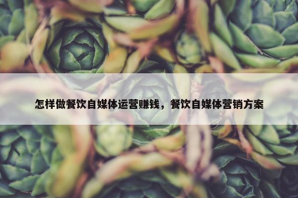 怎样做餐饮自媒体运营赚钱，餐饮自媒体营销方案