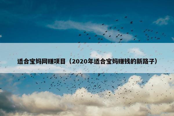 适合宝妈网赚项目（2020年适合宝妈赚钱的新路子）