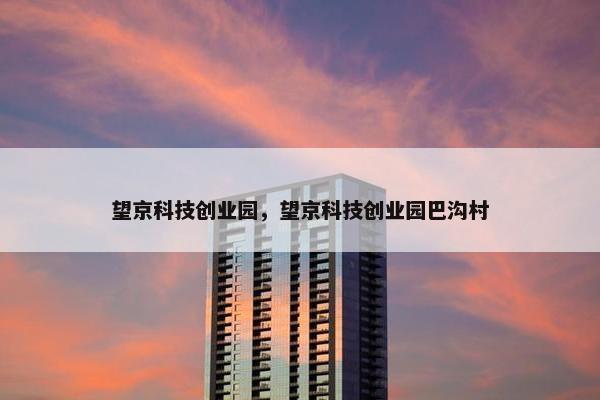 望京科技创业园，望京科技创业园巴沟村