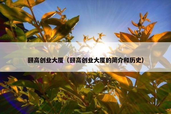 颐高创业大厦（颐高创业大厦的简介和历史）