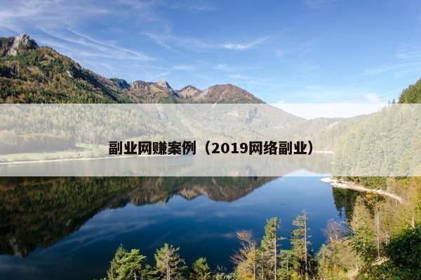 副业网赚案例（2019网络副业）