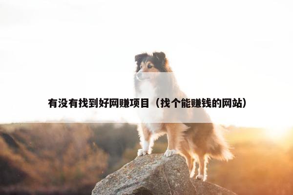 有没有找到好网赚项目（找个能赚钱的网站）