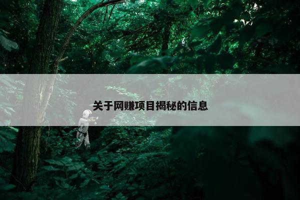 关于网赚项目揭秘的信息