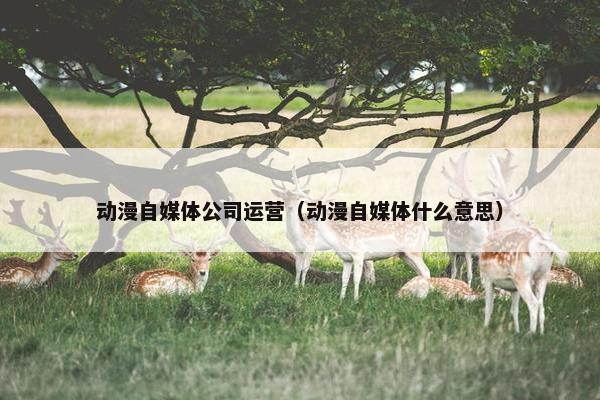 动漫自媒体公司运营（动漫自媒体什么意思）