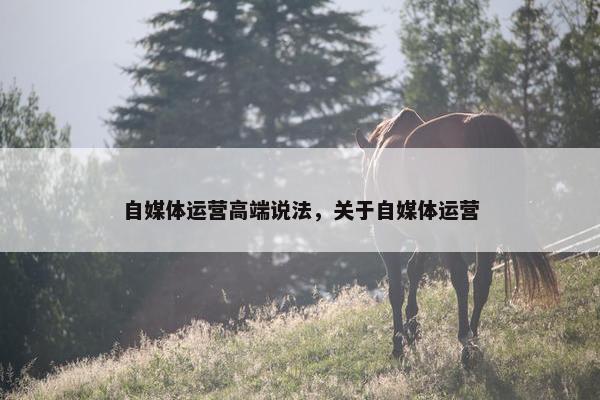 自媒体运营高端说法，关于自媒体运营