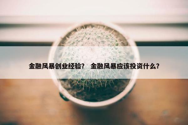 金融风暴创业经验？ 金融风暴应该投资什么？