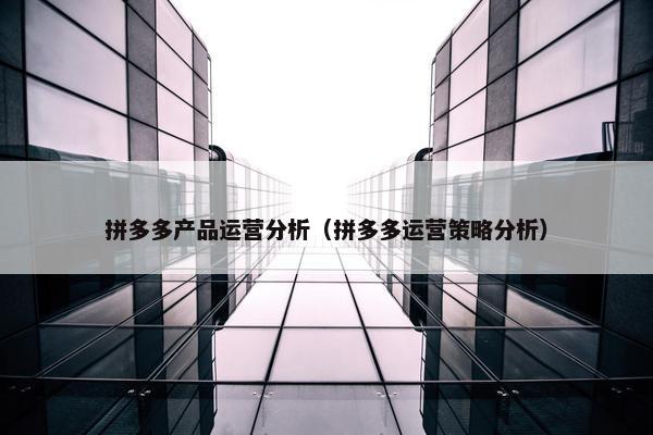 拼多多产品运营分析（拼多多运营策略分析）