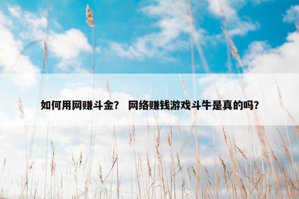 如何用网赚斗金？ 网络赚钱游戏斗牛是真的吗？