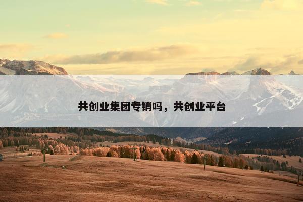 共创业集团专销吗，共创业平台