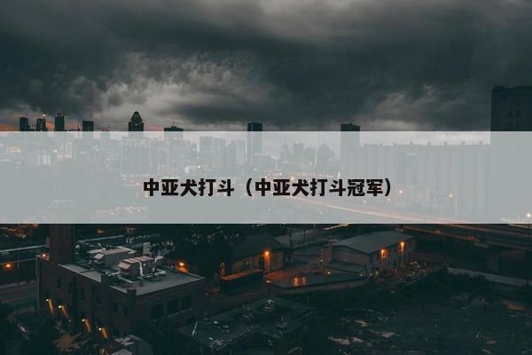 中亚犬打斗（中亚犬打斗冠军）