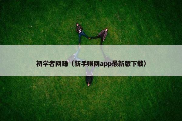 初学者网赚（新手赚网app最新版下载）