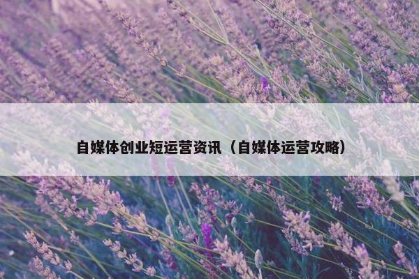 自媒体创业短运营资讯（自媒体运营攻略）