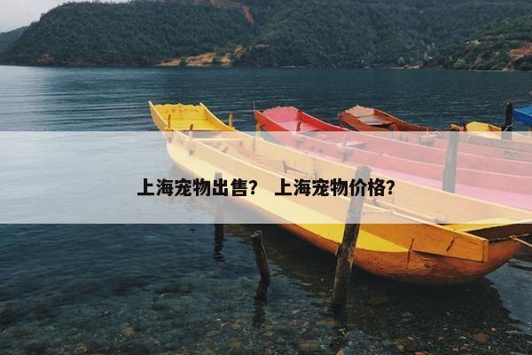 上海宠物出售？ 上海宠物价格？