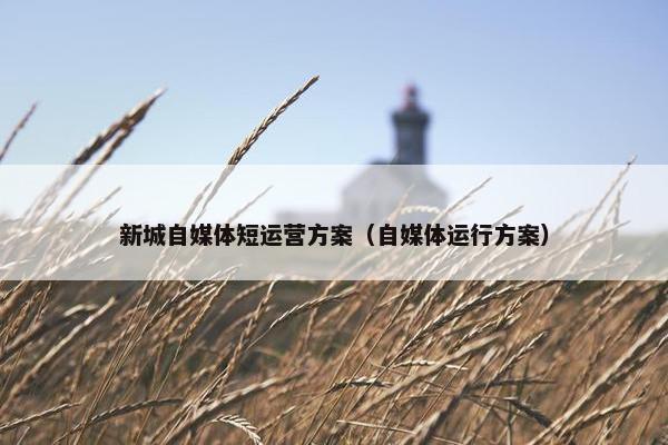 新城自媒体短运营方案（自媒体运行方案）