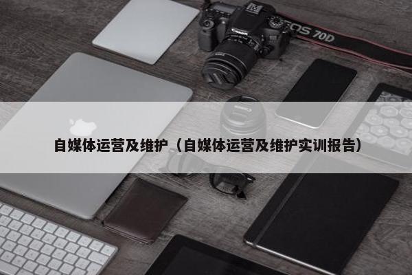 自媒体运营及维护（自媒体运营及维护实训报告）
