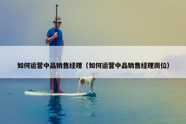 如何运营中品销售经理（如何运营中品销售经理岗位）