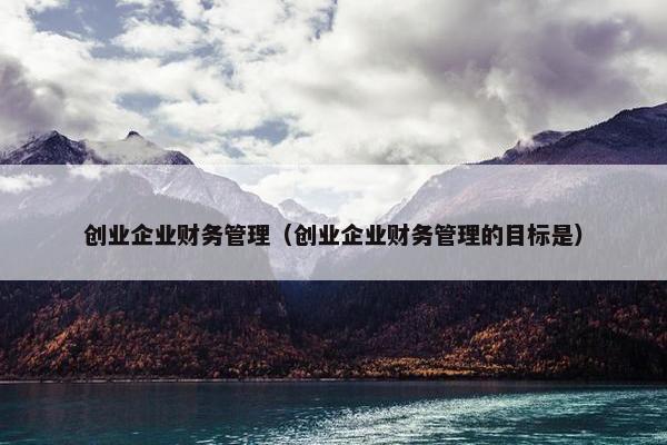 创业企业财务管理（创业企业财务管理的目标是）